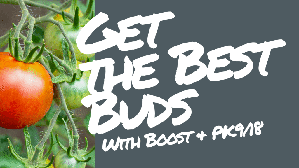 Optimise Growth with Plant Magic Boost & PK 9/18