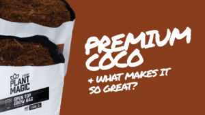 Premium Coco and what makes it so great