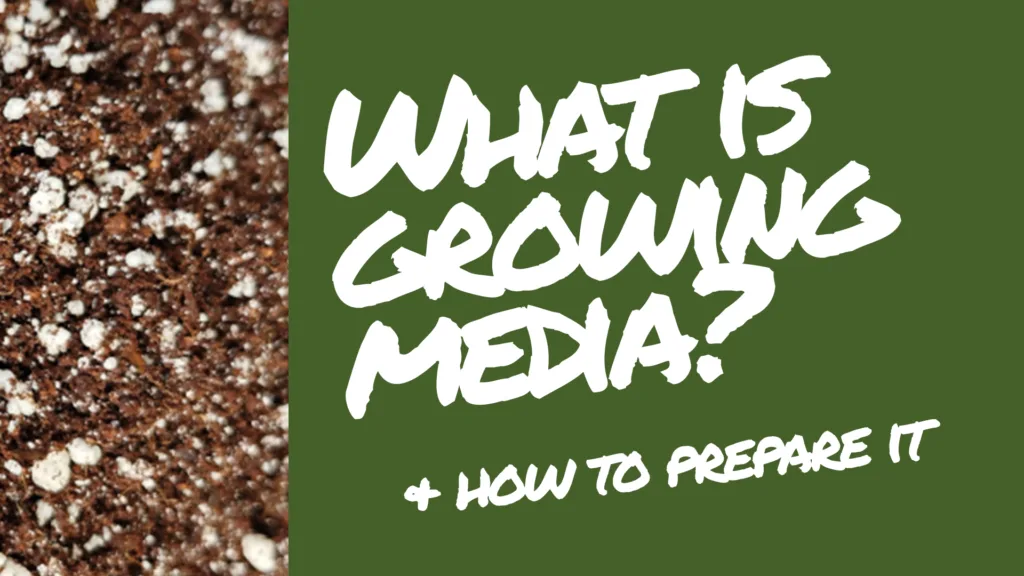 What is Growing Media & How to Prepare it - Plant Magic